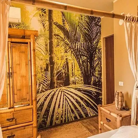 Apartament Paradis Exotic Apartmán Mamaia
